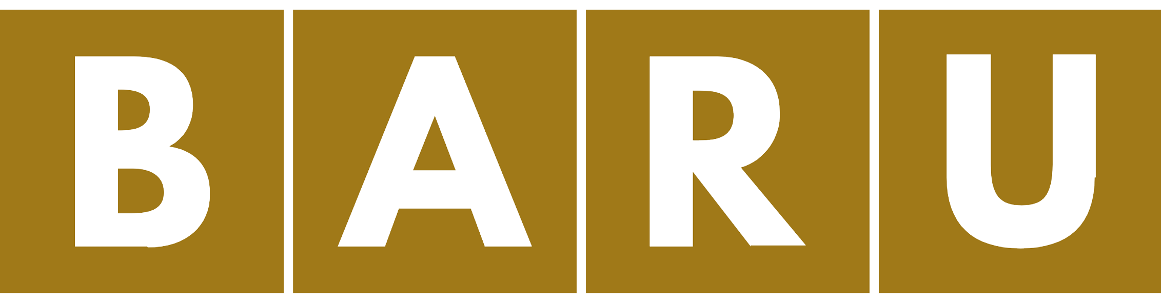 baru.png