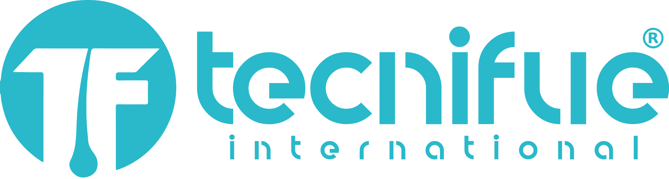 tecnhifue.png